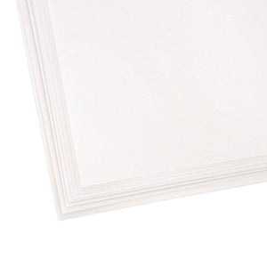 Vellum Paper for Invitations, Arts and Crafts Supplies (Silver, 8.5 x 11 in, 50 Sheets)