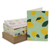 Tropical Fruit Greeting Cards with Envelopes and Stickers (4x6 In, 48 Pack)